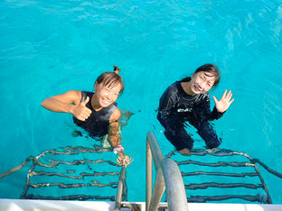 石垣島でのんびりダイビング「恩師とダイブ」ヒートハートクラブ