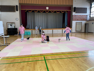 体育館で犬たちだけでウォーキング