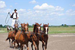 Puszta