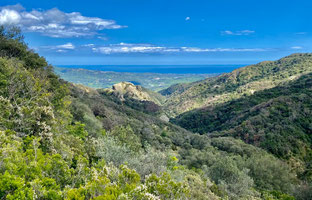 Schöner Blick Aspromonte Nationalpark. Bewaldete Berge mit Weitblick aufs Meer