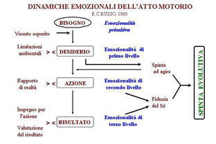 Figura 1