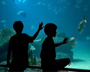 familie kinderen valencia
