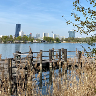 Alte Donau, 24. April 2021/Foto: Andreas Brixler