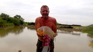 Thai Piranha from our own fishpond