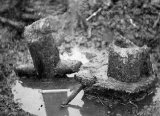 呉越同舟 - 飯山の昼行灯Ⅱ、福永晋三先生の邪馬台（やまと）国＝豊国説