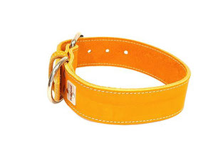 Lederhalsband Hund orange creme 4 cm breit 3