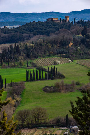 Poggibonsi: Fortezza Medicea di Poggiobonizio