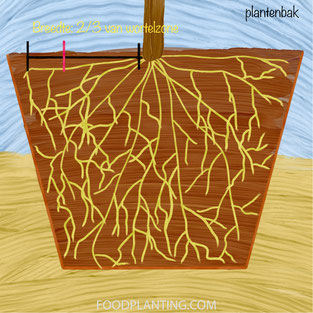 tensiometer plantenbak