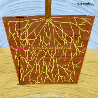tensiometer plantenbak