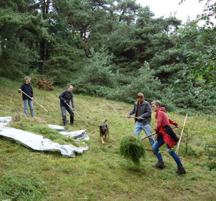 Biotoppflege am Kuhschellenhang   Foto: Ines Wilke