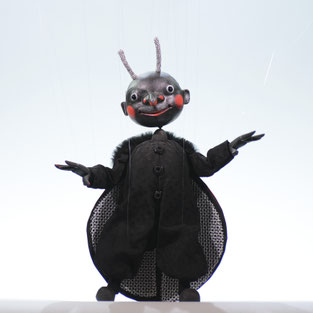 Marionette Ladybird