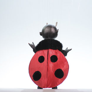 Marionette Ladybird