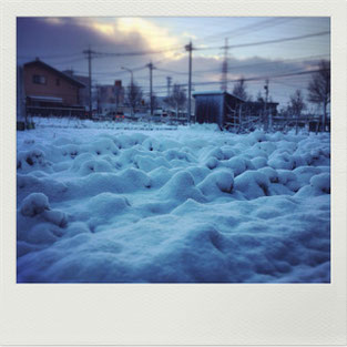 朝の雪