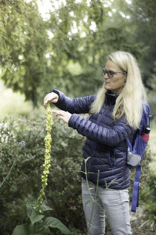  Kräuterwanderung Kräutertour Kräuterspaziergang durch Bottrop - Ruhrgebiet - NRW  mit Wildkräuterexpertin Nicole - HappyHeppert - Hiking, Herbs & Happy Moments