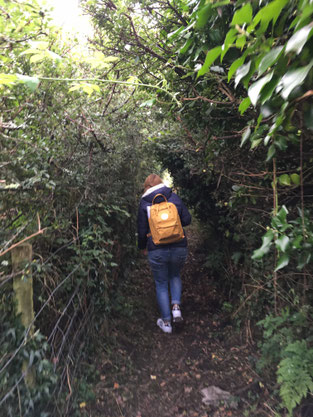 Einer der vielen, typischen Public Footpaths in Cornwall