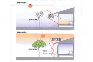 日照設計