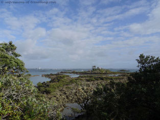 Blick auf Auckland von Rangitoto