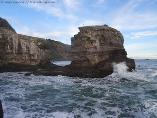 Muriwai beach
