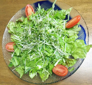 野菜サラダ