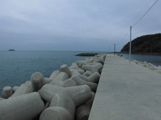 山口市・防府市のアオリイカの釣り場