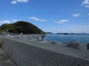 長門市のアオリイカの釣り場