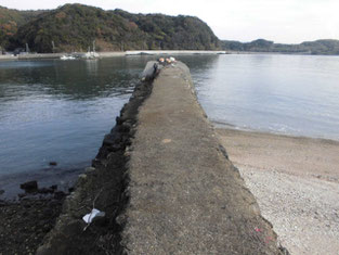 光市・下松市・周南市の釣り場