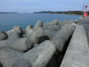 下関市　山陰・日本海側のアオリイカの釣り場