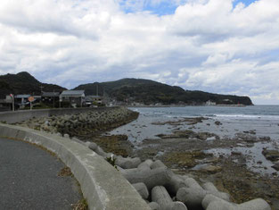 長門市のアオリイカの釣り場