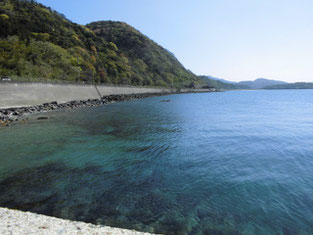 萩市・阿武町のアオリイカの釣り場