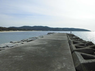 土井ヶ浜　はこちらからどうぞ