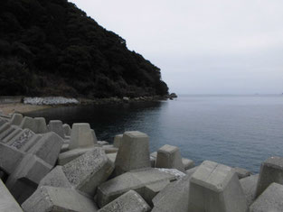 山口市・宇部市のアオリイカの釣り場