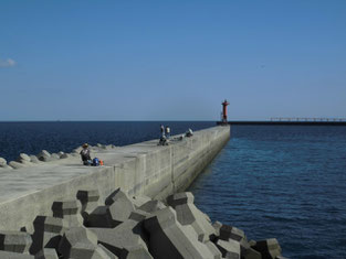 アオリイカの釣り場　北九州市門司区