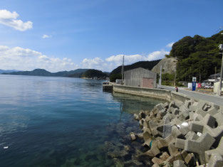 長門市の釣り場