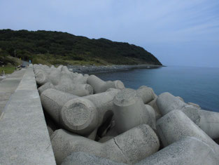 下関市　山陰・日本海側のアオリイカの釣り場