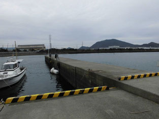 山口市・防府市のアオリイカの釣り場