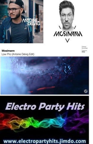 Antoine delvig quentin mosimann low pro protocol