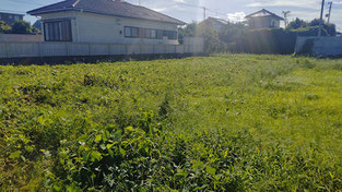 一宮町売地１３７坪１３００万