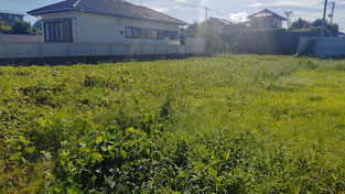 一宮海岸沿いの売り土地。カフェ、サーフショップ、一棟貸し別荘などの事業用・店舗併用住宅にもおすすめ。