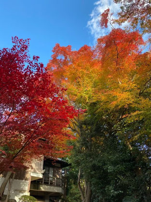 多井畑厄除八幡宮