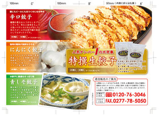 金星食品パンフレットデザイン