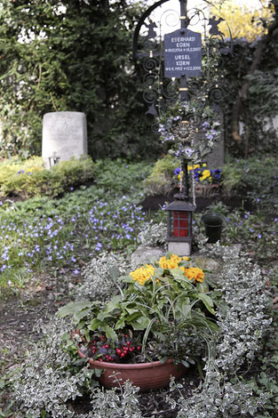 Grabbepflanzung im Frühling