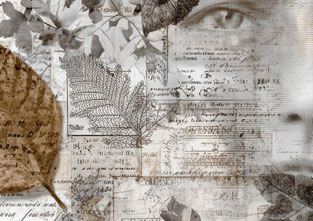 #28 VAULTOBER COLLAGE PAPER 3