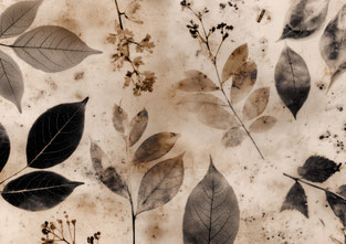 #27 VAULTOBER LEAVES BACKGROUND 1
