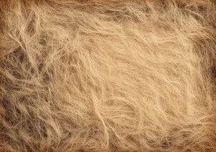 #18 VAULTOBER FLUFFY GRUNGE JOURNAL BACKGROUND 1