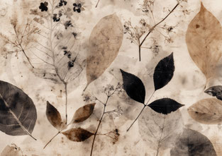 #27 VAULTOBER LEAVES BACKGROUND 2