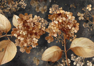 #15 VAULTOBER HYDRANGEA 3