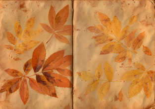 #13 VAULTOBER ECO DYED BACKGROUND 2