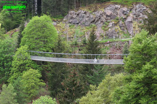 Hängeseilbrücke Steinwasen Park Baden Württemberg Freizeitpark Themepark Wildpark  Oberried Attraktionen Fahrgeschäfte Achterbahn Rodelbahn Infos Info News Schwarzwald Seilbahn 