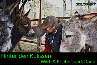 Wild Erlebnispark Daun Wildpark Wildsafari Wildtiere Zoo Freizeitpark Daun Tiere Anfahrt Sommerrodelbahn Auto Affenschlucht Map Guide Adresse Preise Park Plan Fotos Video Bilder Attraktionen