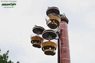 Storchenturm Metallbau Emmeln Flying Wheel Tier Freizeitpark Thüle Friesoythe Niedersachsen Attraktionen Adresse Map Guide Park Plan Achterbahn Rollercoaster Tiere Fahrgeschäfte Infos 